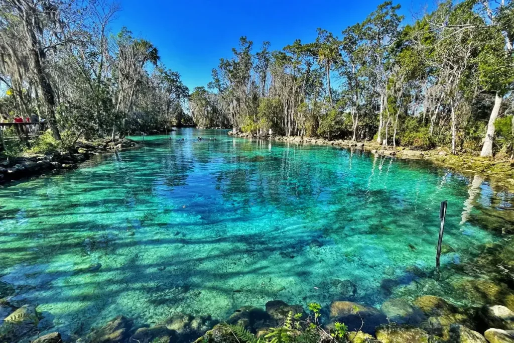 rv sites, Better Times RV Park Nearby Attractions, snowbird RV sites Lake Panasoffkee Florida, RV park near Bushnell, 55 plus